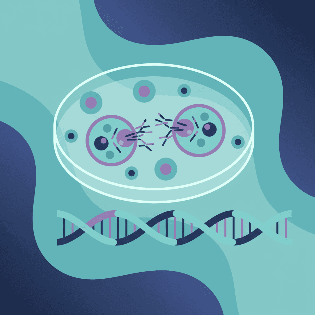 Mitosis vs. Meiosis + Punnett Squares: TEAS Genetics in 15 Minutes